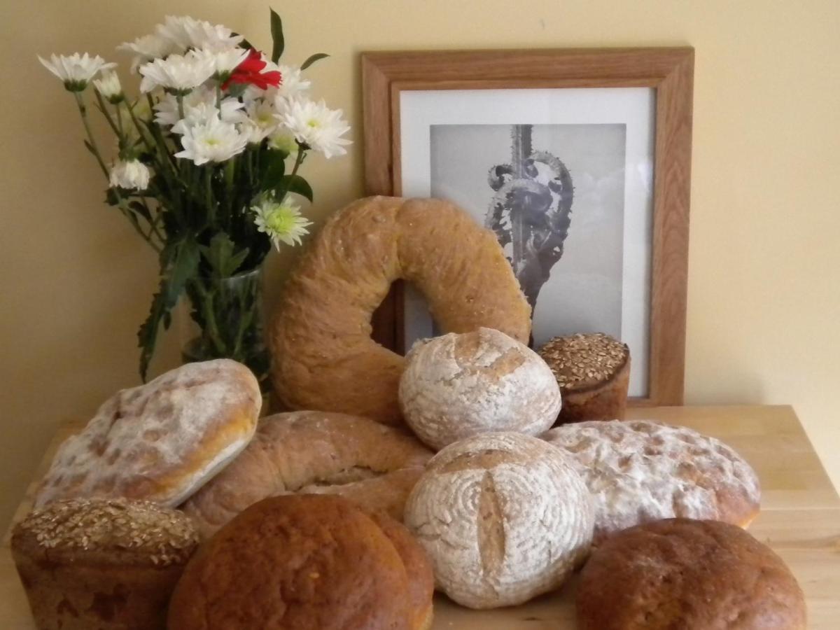 Ancienne Ecole Bed and Breakfast Cazaux-Villecomtal Εξωτερικό φωτογραφία