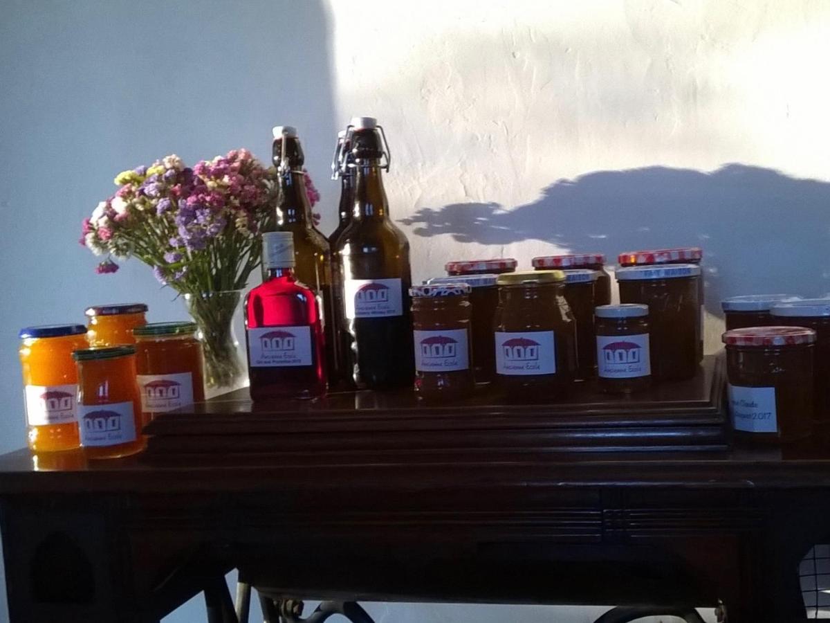 Ancienne Ecole Bed and Breakfast Cazaux-Villecomtal Εξωτερικό φωτογραφία